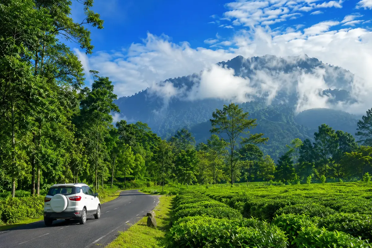 Dooars Tour Cost from Kolkata 2026 with scenic tea gardens in North Bengal