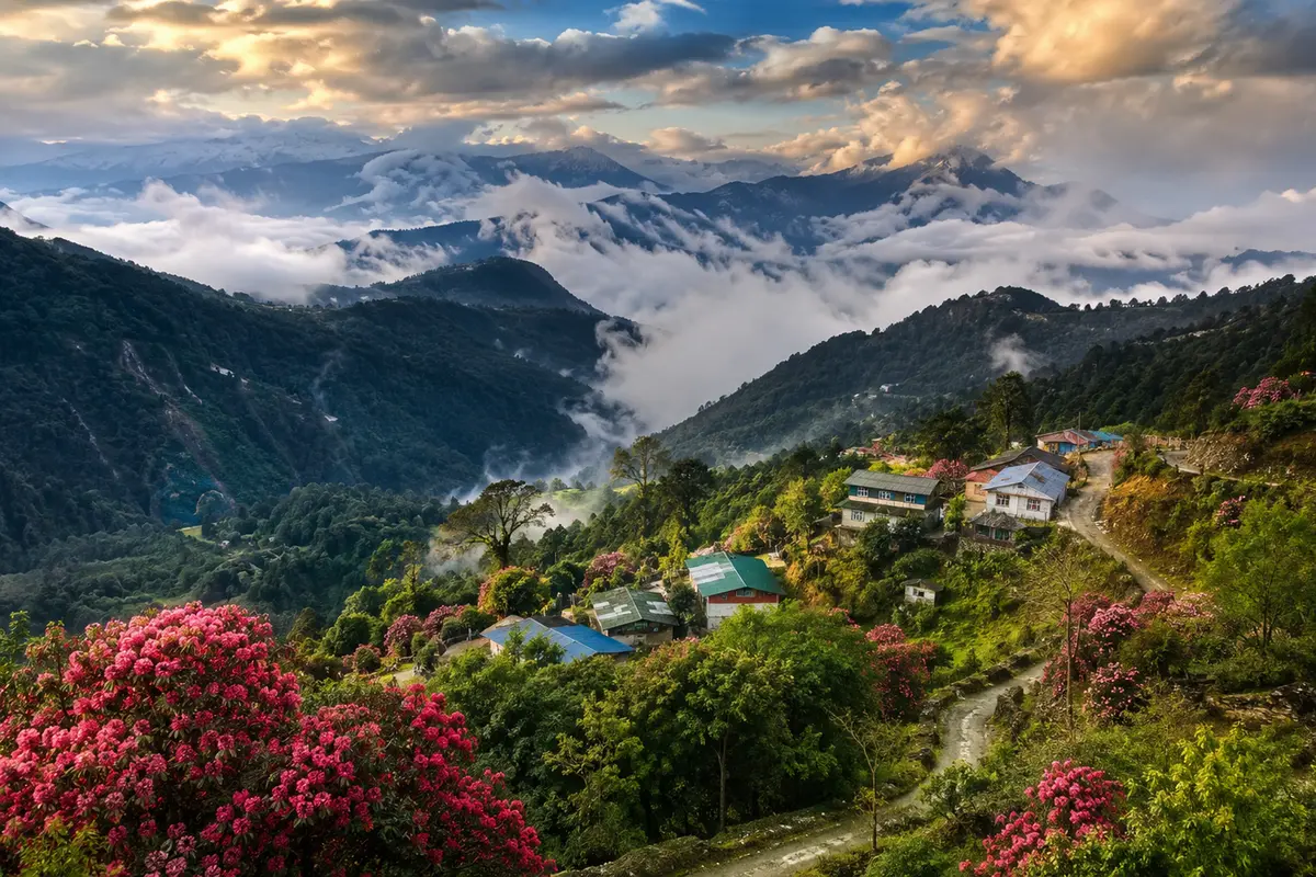 Padamchen Travel Guide panoramic view of Padamchen village in East Sikkim