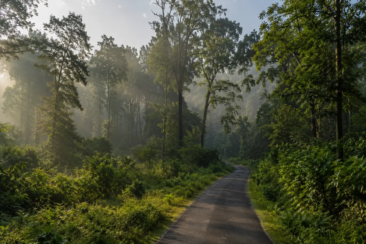Buxa Tiger Reserve Travel Guide 2026