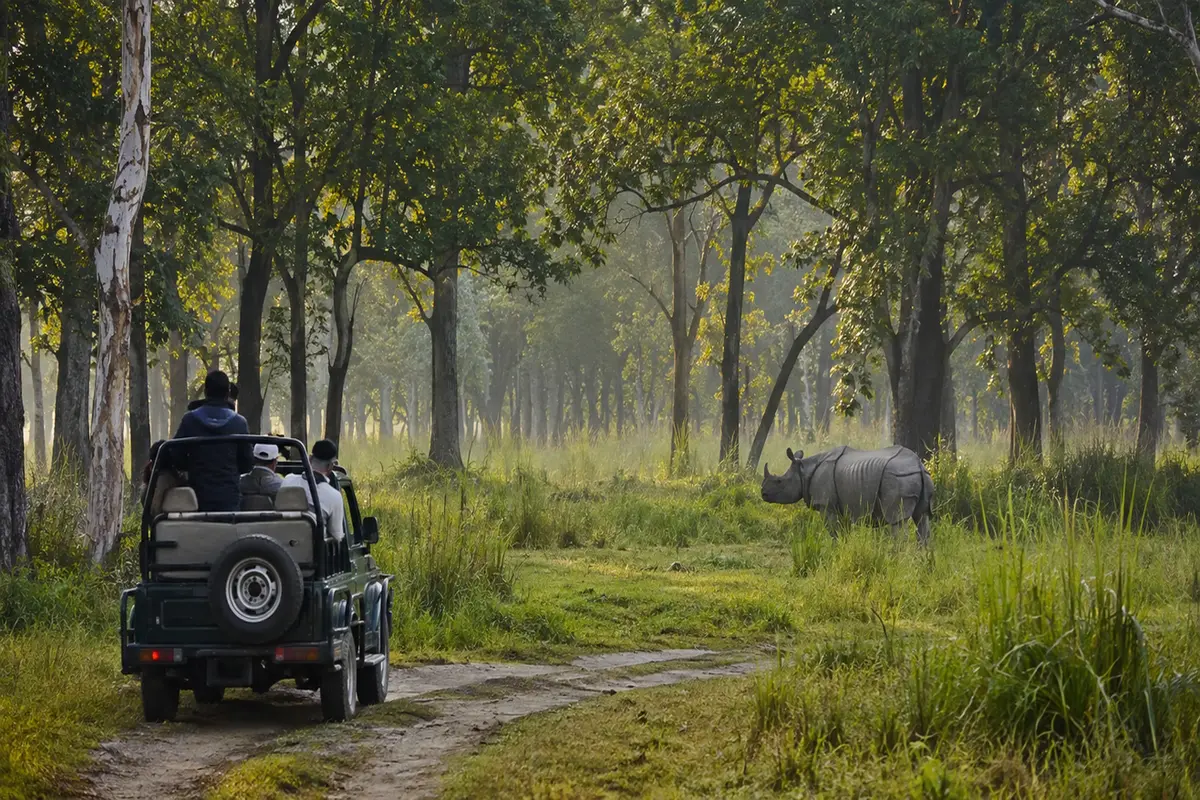 Gorumara National Park Safari Guide with jeep and rhinoceros