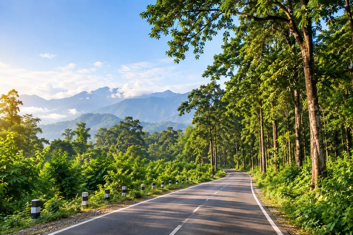 Lataguri Travel Guide 2026 forest landscape
